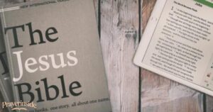 the jesus bible