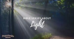 bible verses about light