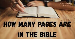 how many pages are in the bible