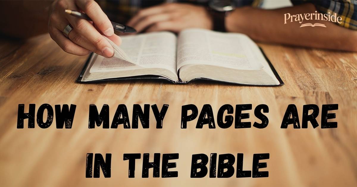 how many pages are in the bible